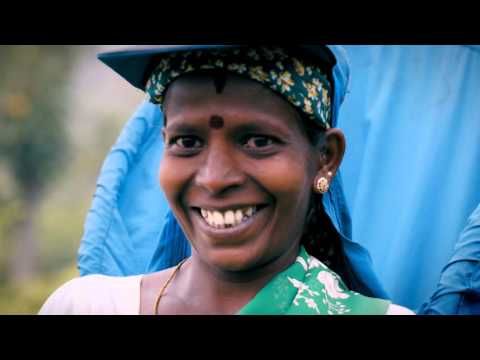 Ceylon Green Tea Moroccan Mint 100 bags