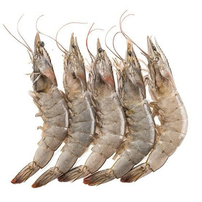 VerdeMar | Super Jumbo Black Tiger Shrimp  6–8 Pieces