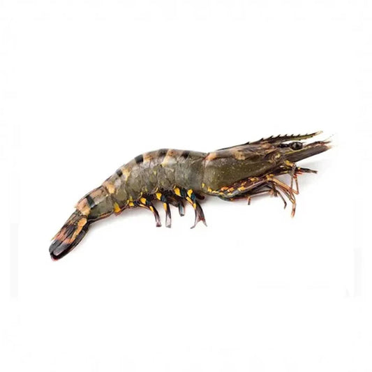 Shrimp Shell on (Jumbo - 1000 gm)
