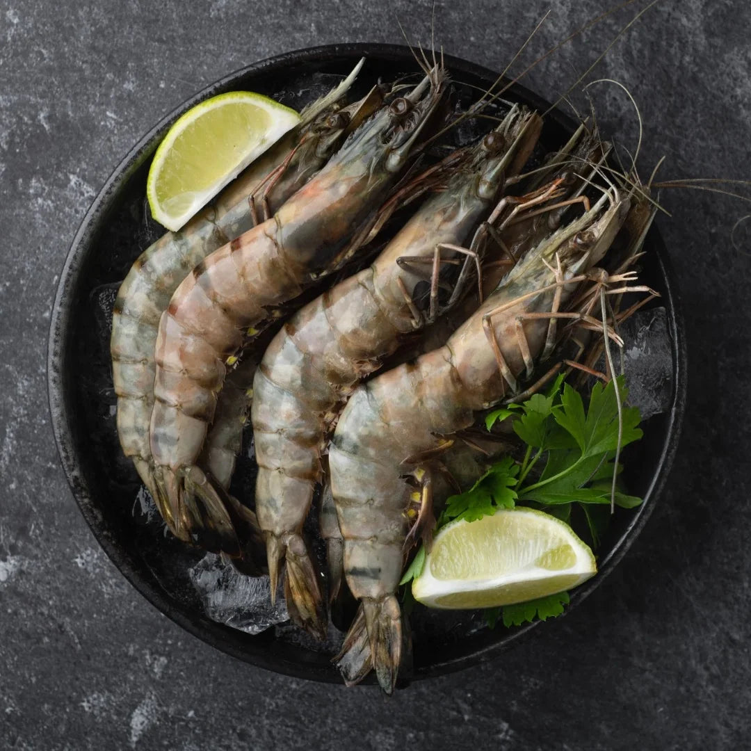 VerdeMar | Super Jumbo Black Tiger Shrimp  6–8 Pieces