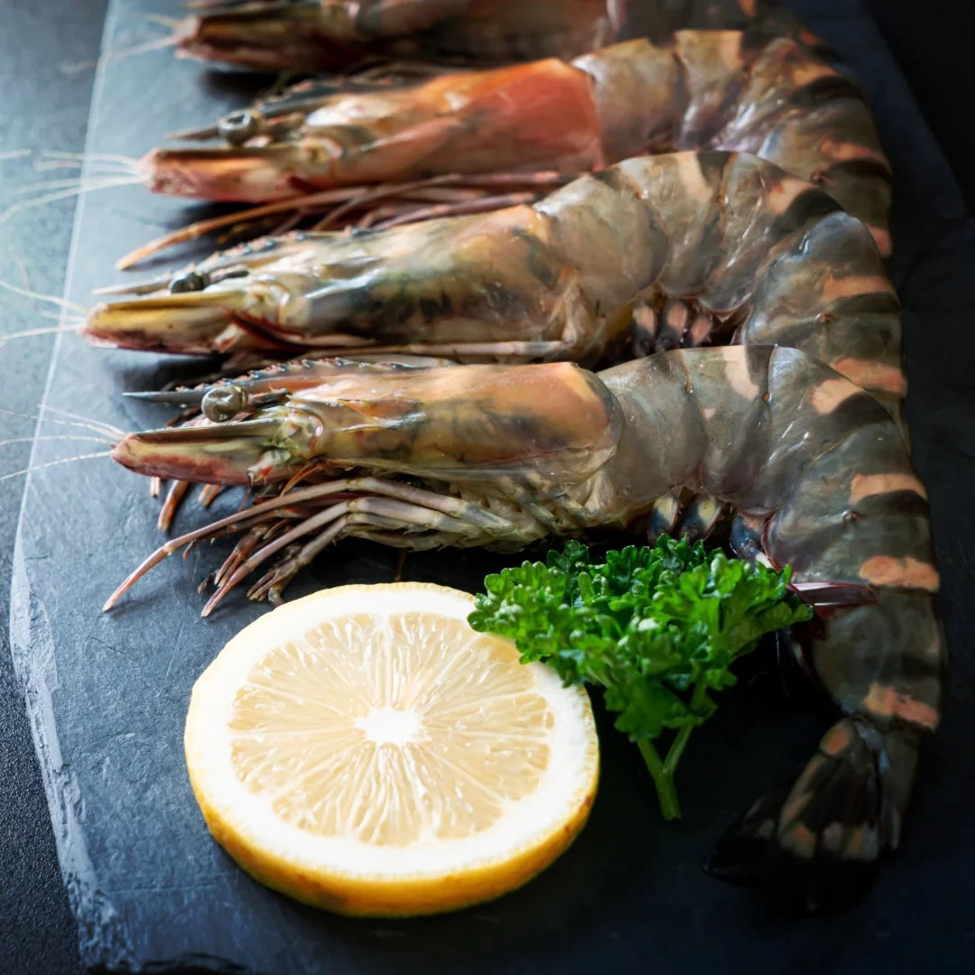 VerdeMar | Super Jumbo Black Tiger Shrimp  6–8 Pieces